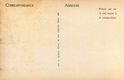 CPA Bandol La plage vue de la Villa des Mimosas 