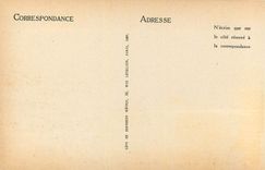 CPA Sanary Vue a travers les Palmiers 