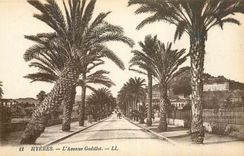 CPA Hyeres l'Avenue Godillot 