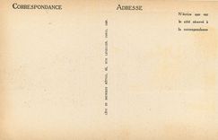 CPA Bormes Panorama de la Ville et des Hotels