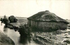 CPA Au Marais du Pays de monts Vieille Bourine 