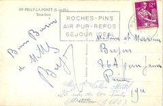 CPM Milly la Foret S et O Sous bois 