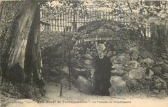 CPA Foret de Fontainebleau la Fontaine du Mont Chauvet 