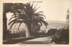 CPA La Cote d'Azur Cannes Vue generale prise de la Californie 