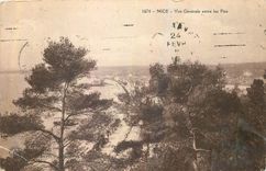 CPA Nice Vue generale entre les Pins 