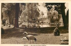 CPA Vichy Un coin du Parc d'Ailler 