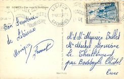 CPA Lisieux Vue vers la Basilique 