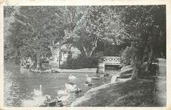 CPA Parc de la Tete d'Or Coin des Cygnes Lyon