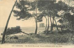 CPA Cannes Ile Saint Honorat Vieux chateau entre les Pins 
