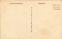 CPA Le Puy Vue prise a travers les Pins 