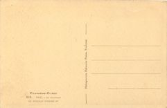 CPA Pyrenees Ocean Pau le Chateau le Berceau d'Henri IV 