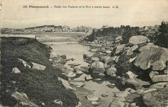 CPA Ploumanach Vallee des Troieros et le Port a maree basse 