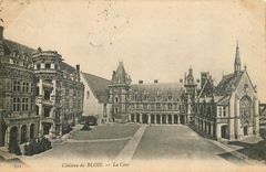 CPA Chateau de Blois La Cour 
