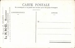 CPA Fantasy Woman birds