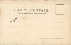 CPA Fantasy Child Chicks