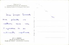 CPA Rubens Draht des Maler Museums Galerie der Vaduz-(Schweizer) Liechtenstein