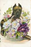 CPA Fleurs Chien