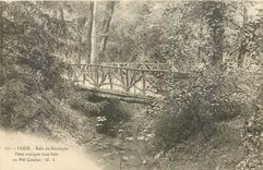 CPA Paris Bois de Boulogne Pont rustique sous bois au Pre Catelan 