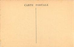 CPA Blois Le Chateau la Facade Francois I 