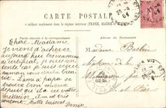 CPA Fantasy Child Pigs Pigs