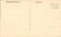 Angers CPA the castle