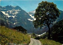 CPM Im Ahorni bei Adelboden 