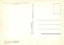 CPM La Corse Pittoresque Les Anes 