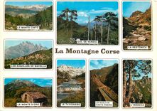 CPM Couleurs et Lumiere de France La Corse Oasis de Beaute La Montagne Corse 