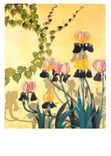 CPM Denis Seignez Iris ensoleilles 