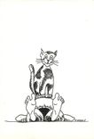CPM Chat Maitre