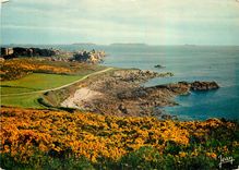 CPM La Bretagne La Cote a Ploumanach C du N 