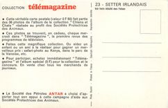 CPM Telemagazine Setter Irlandais Chien