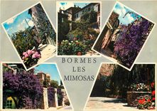 CPM La Cote d'Azur Bormes les Mimosas Var 