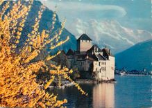 CPM Lac Leman Chateau de Chillon et les Dents du Midi 