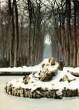 CPM Versailles Le Bassin de Setume ou Bassin de l'Hiver 