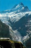 CPM Grindelwald Fisrt Scheckhorn 