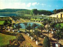 CPM Couleurs et Lumiere de France Chateau de Versailles Yvelines Le Jardin de l'Orangerie et la Piec