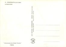 CPM Romorantin Loir et cher Le Carroir dore