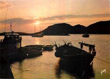 CPM Couleurs et Lumiere de France La Corse oasis de Beaute Porto Vecchio Crepuscule sur le Port et l
