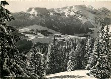 CPM Toggenburg 