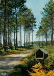 CPM Dans les Landes La niche a pain et a lait 