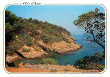CPM Au Soleil de la Cote d'Azur La Ciotat B du Rh Calanque de L'Ile Verte 