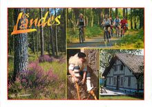 CPM Les Landes Pittoresques 