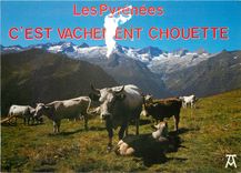 CPM Les Pyrenees Les Pyrenees c'est vachement chouette 