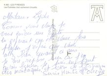 CPM Les Pyrenees Les Pyrenees c'est vachement chouette 