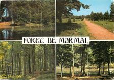 CPM Foret de Mormal Etang David et Arboretum 