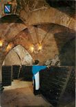 CPM La Champagne Caves a Champagne 