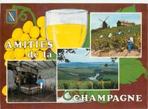 CPM La Champagne France Vendanges Vignobles et Pressoir 