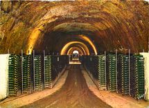 CPM En Champagne Une galerie dals les Caves Champagne Mercier Epernay 