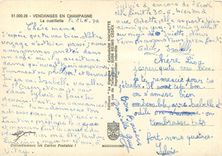 CPM Vendagnes en Champagne La Cueillette 